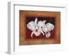 White Orchids-Vivien Rhyan-Framed Art Print