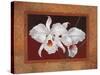 White Orchids-Vivien Rhyan-Stretched Canvas