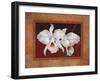 White Orchids-Vivien Rhyan-Framed Art Print