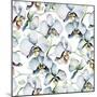 White Orchids-mika48-Mounted Art Print