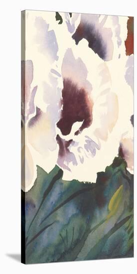 White Orientals II-Trevor Waugh-Stretched Canvas