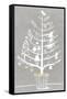 White Ornament Tree I-PI Studio-Framed Stretched Canvas