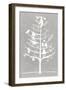 White Ornament Tree II-PI Studio-Framed Art Print