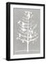 White Ornament Tree II-PI Studio-Framed Art Print