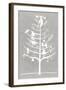 White Ornament Tree II-PI Studio-Framed Art Print