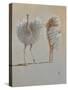 White Ostrich Ballet-Lincoln Seligman-Stretched Canvas