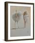 White Ostrich Ballet-Lincoln Seligman-Framed Giclee Print