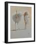 White Ostrich Ballet-Lincoln Seligman-Framed Giclee Print