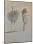 White Ostrich Ballet-Lincoln Seligman-Mounted Giclee Print