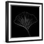 White Outline-Philippe Sainte-Laudy-Framed Photographic Print