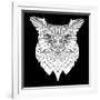 White Owl Mesh-Lisa Kroll-Framed Art Print