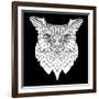 White Owl Mesh-Lisa Kroll-Framed Art Print