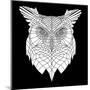 White Owl Mesh-Lisa Kroll-Mounted Art Print