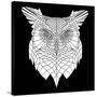 White Owl Mesh-Lisa Kroll-Stretched Canvas