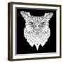 White Owl Mesh-Lisa Kroll-Framed Art Print