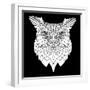 White Owl Mesh-Lisa Kroll-Framed Art Print