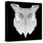 White Owl Mesh-Lisa Kroll-Stretched Canvas