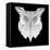 White Owl Mesh-Lisa Kroll-Framed Stretched Canvas