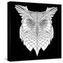 White Owl Mesh-Lisa Kroll-Stretched Canvas