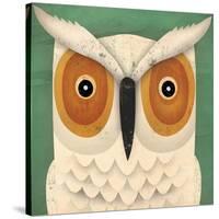 White Owl-Ryan Fowler-Stretched Canvas
