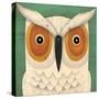 White Owl-Ryan Fowler-Stretched Canvas