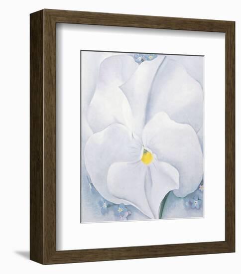 White Pansy, c.1927-Georgia O'Keeffe-Framed Art Print