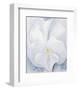 White Pansy, c.1927-Georgia O'Keeffe-Framed Art Print