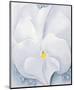 White Pansy, c.1927-Georgia O'Keeffe-Mounted Art Print