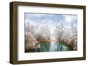 White Paradise-Philippe Sainte-Laudy-Framed Photographic Print