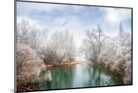 White Paradise-Philippe Sainte-Laudy-Mounted Photographic Print