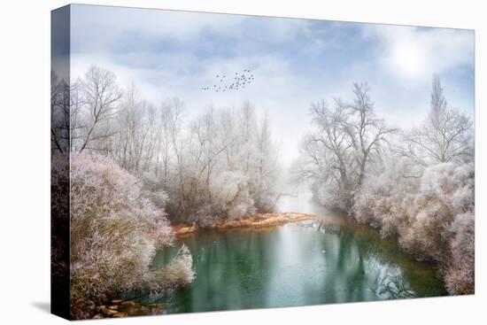 White Paradise-Philippe Sainte-Laudy-Stretched Canvas