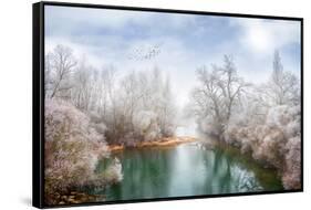 White Paradise-Philippe Sainte-Laudy-Framed Stretched Canvas