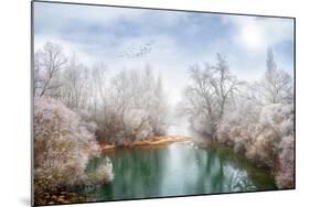 White Paradise-Philippe Sainte-Laudy-Mounted Photographic Print