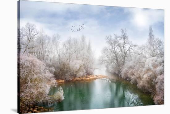 White Paradise-Philippe Sainte-Laudy-Stretched Canvas