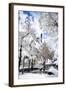 White Park - In the Style of Oil Painting-Philippe Hugonnard-Framed Giclee Print