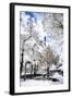 White Park - In the Style of Oil Painting-Philippe Hugonnard-Framed Giclee Print