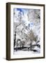 White Park - In the Style of Oil Painting-Philippe Hugonnard-Framed Giclee Print