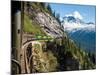 White Pass Train Alaska-Gary Rolband-Mounted Photographic Print