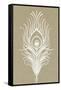 White Peacock Feather-null-Framed Stretched Canvas