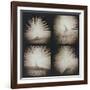 White Peacock Four times-Theo Westenberger-Framed Photographic Print