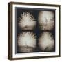 White Peacock Four times-Theo Westenberger-Framed Photographic Print
