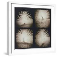 White Peacock Four times-Theo Westenberger-Framed Photographic Print