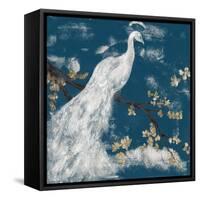 White Peacock on Indigo I-Jennifer Goldberger-Framed Stretched Canvas