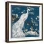 White Peacock on Indigo I-Jennifer Goldberger-Framed Art Print