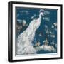 White Peacock on Indigo I-Jennifer Goldberger-Framed Art Print