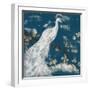 White Peacock on Indigo I-Jennifer Goldberger-Framed Art Print