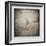 White Peacock-Theo Westenberger-Framed Photographic Print