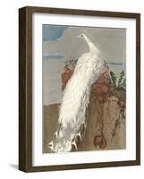 White Peacock-null-Framed Art Print