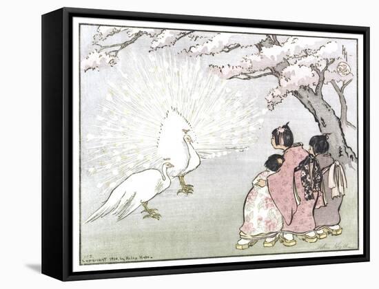 White Peacock-Helen Hyde-Framed Stretched Canvas