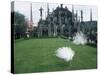 White Peacocks in Front of Folly, Isola Bella, Lake Maggiore, Piedmont, Italy-Sheila Terry-Stretched Canvas